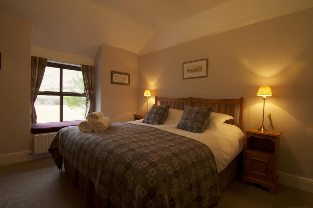 Dolffanog Fawr Hotel Tal-y-llyn Exterior photo